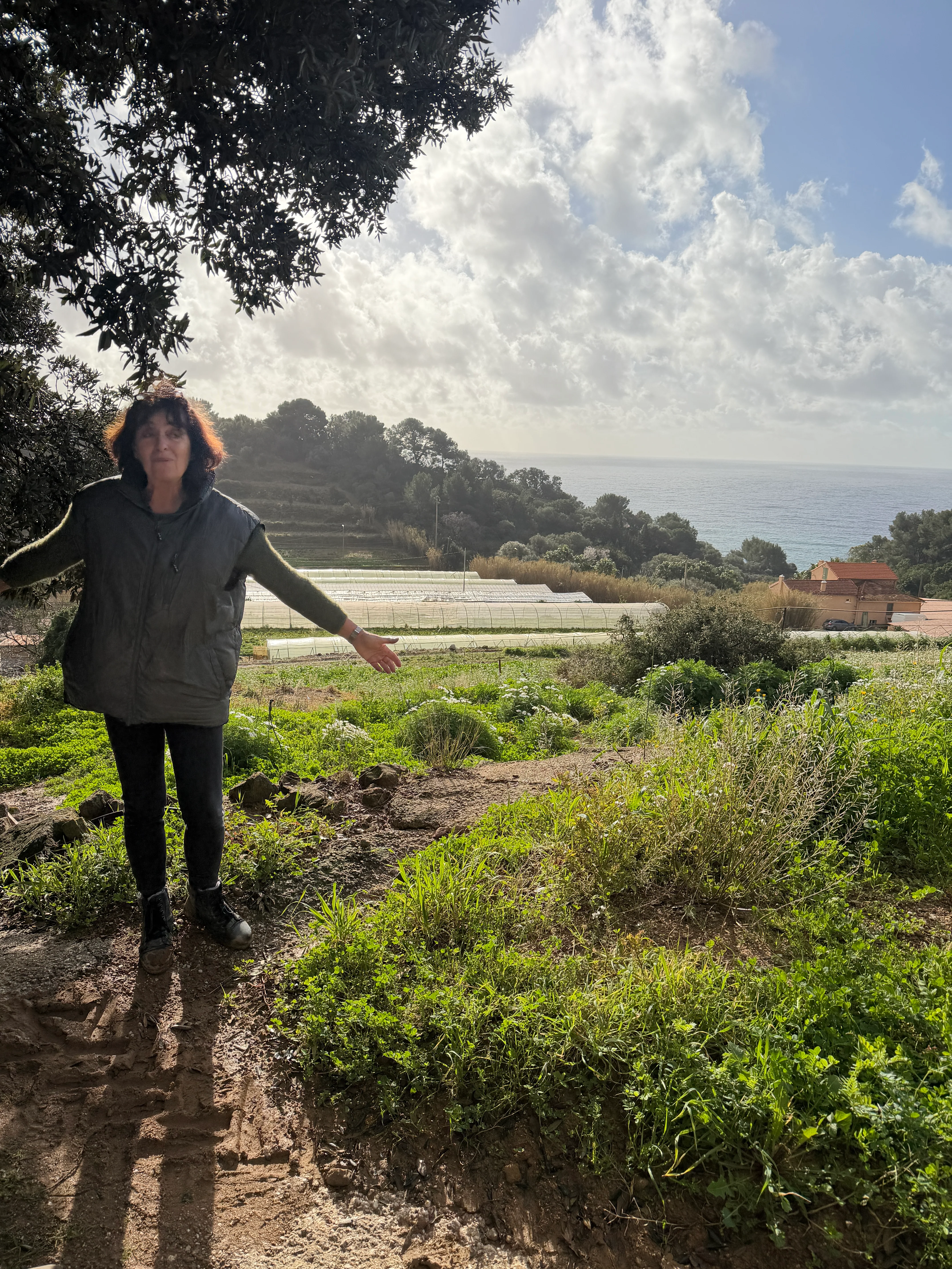 Image du produit 7